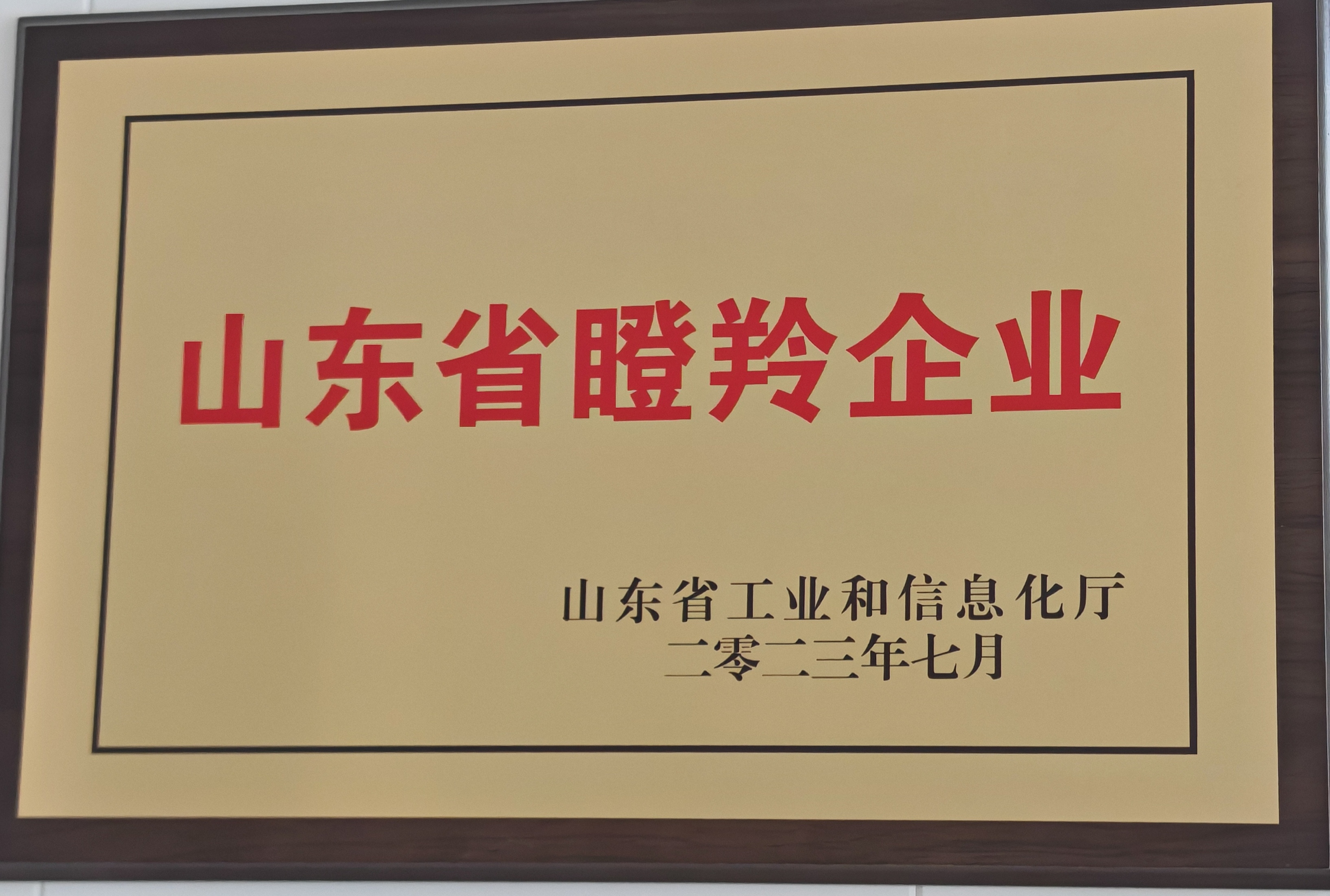 山東省瞪羚企業(yè)